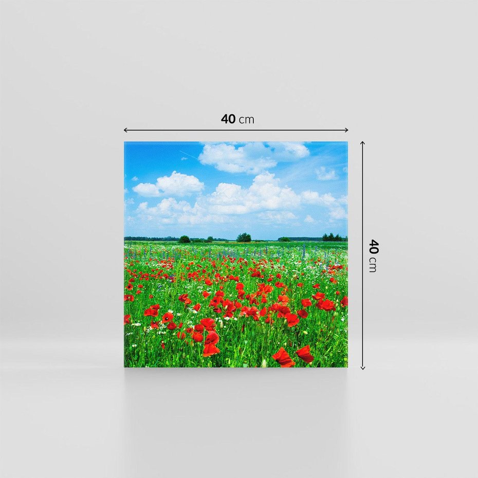 Obraz na płótnie 40x40 - Kolorowa łąka pełna maku - łąka, maki