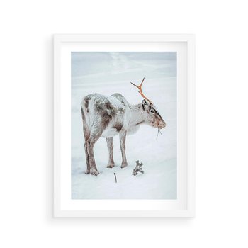 Plakat w ramie 30x40 - Magia Świąt - renifer na śniegu, śnieg - rama biała