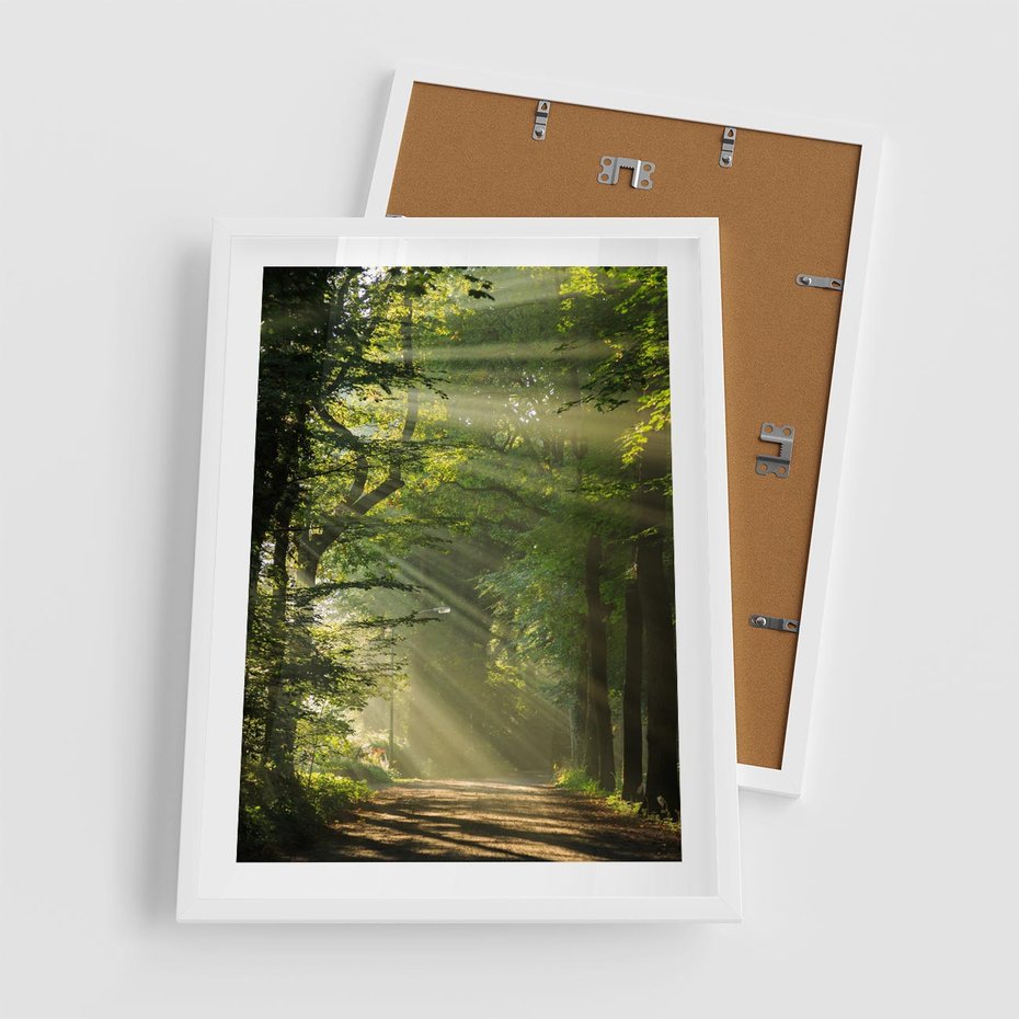 Plakat w ramie 50x70 - harmonia natury - las, drzewa - rama biała