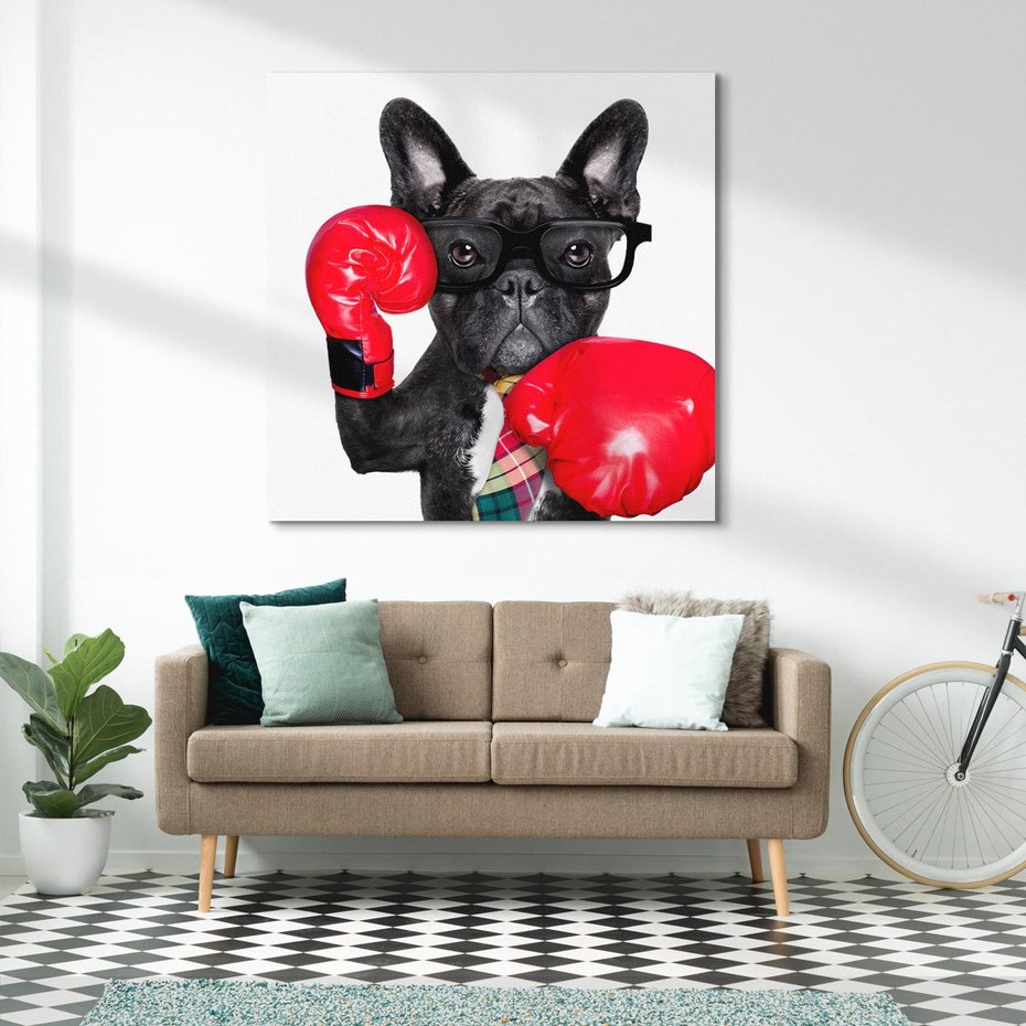 Obraz na płótnie 40x40 - Boksujący mops - pies - boks, mops