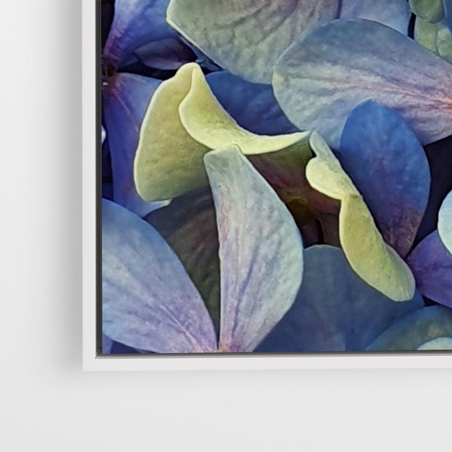 Obraz w ramie 120x80 - Hortensja - delikatność kwiatów - hortensja, kwiaty - rama biała