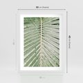 Plakat w ramie 30x40 - Jasna Zieleń Palmy - liść palmy, zbliżenie - rama biała