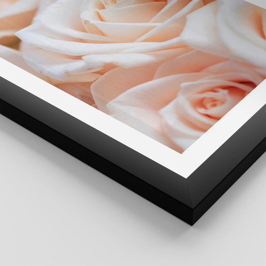 Plakat w ramie 30x40 - Aromatyczna Piękność - płatki herbacianej róży, kwiaty - rama czarna