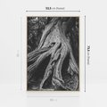 Obraz w ramie 50x70 - Siła Natury - czarno biała fotografia, korzenie wielkiego drzewa - rama drewno