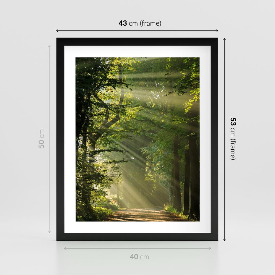 Plakat w ramie 40x50 - harmonia natury - las, drzewa - rama czarna
