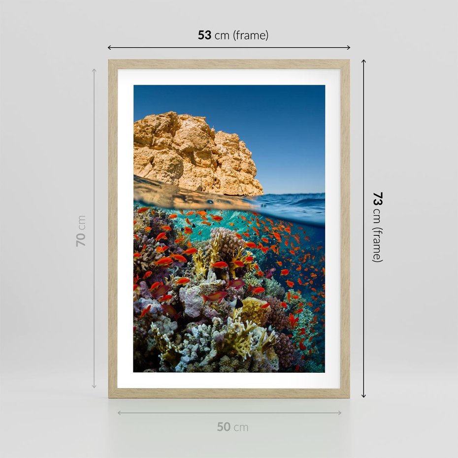 Plakat w ramie 50x70 - Rafa koralowa w oceanie - rafa, koralowa - rama drewno
