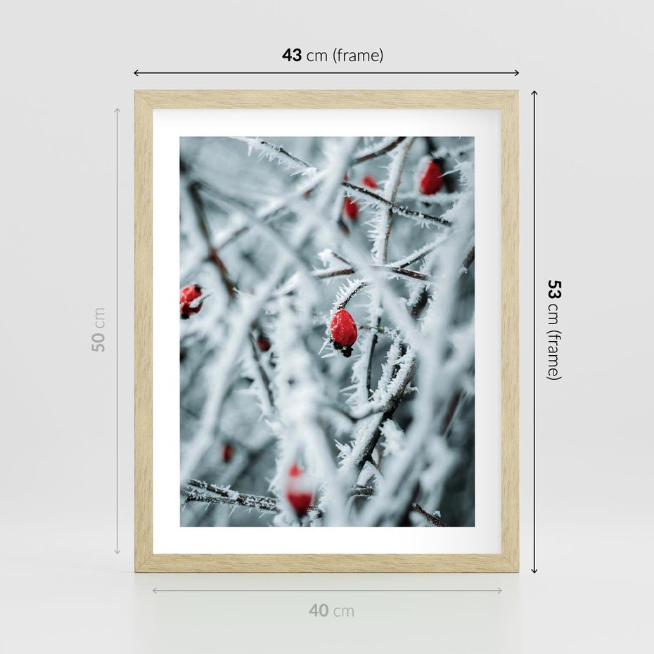 Plakat w ramie 40x50 - Zima na Gałęziach - zima, oszronione gałęzie - rama drewno