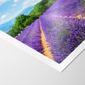 Plakat bez ramy 21x30 - Prowansalska Lawenda - lawenda, prowansja