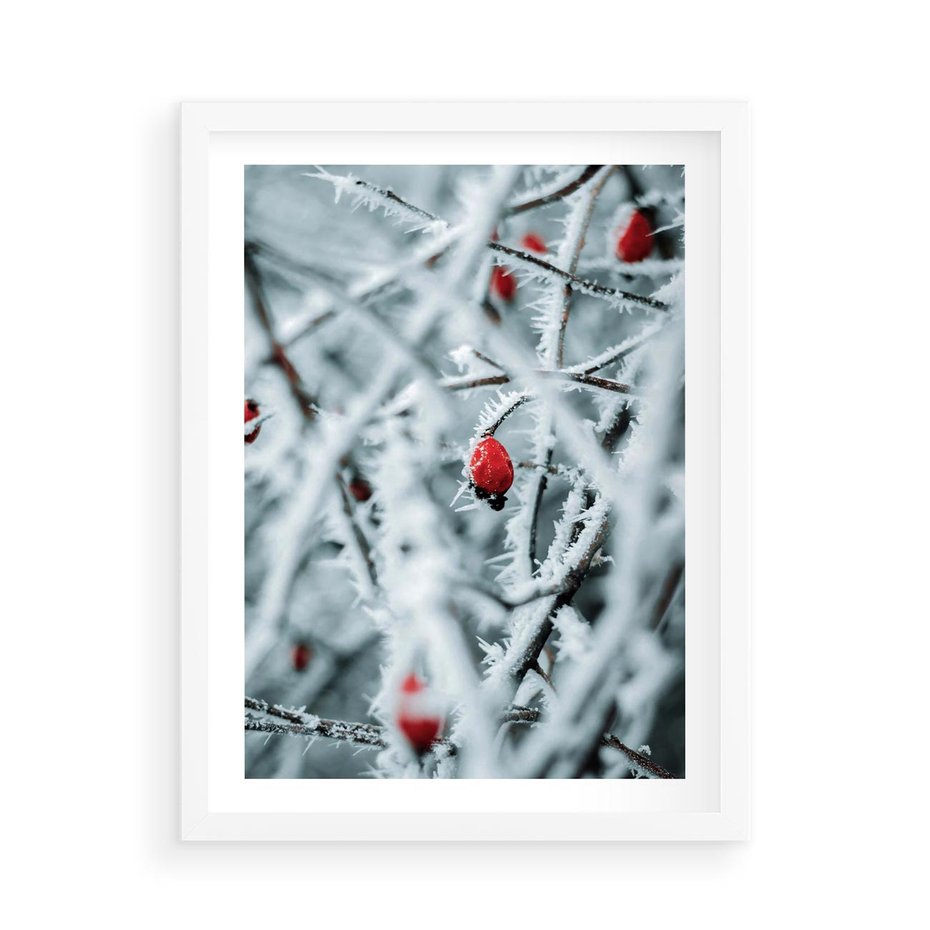 Plakat w ramie 50x70 - Zima na Gałęziach - zima, oszronione gałęzie - rama biała