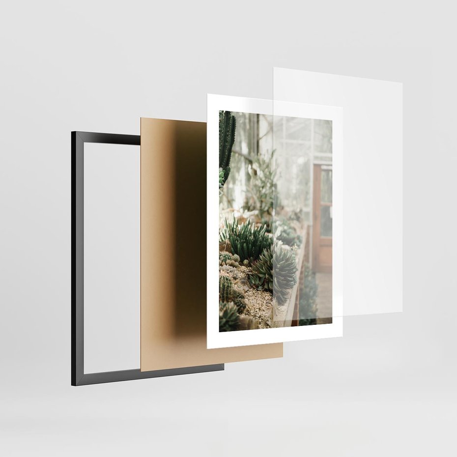 Plakat w ramie 30x40 - Sukulenty w Szklarni - sukulenty, w szklarni - rama czarna