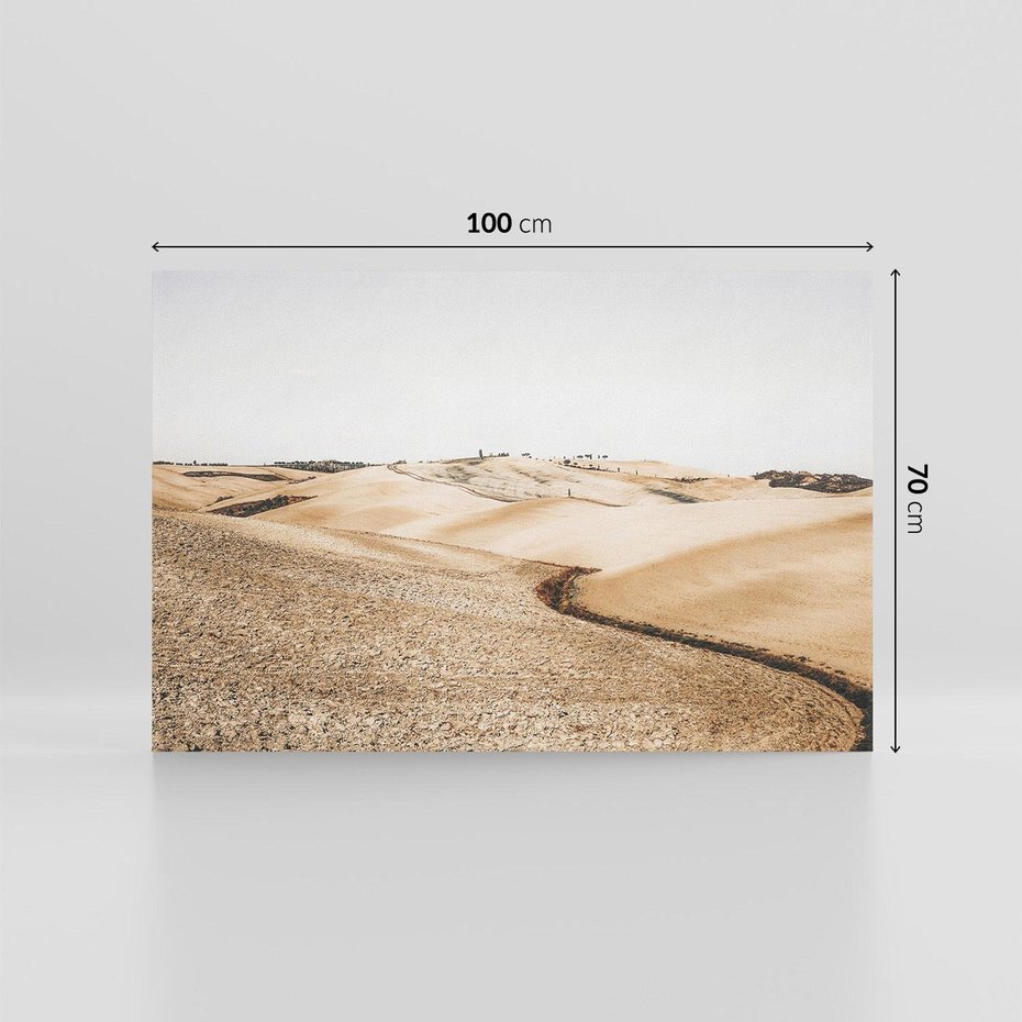 Obraz na płótnie 100x70 - Refleksyjny taniec myśli - pustynny krajobraz, odcienie sepii