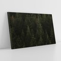 Obraz na płótnie 120x80 - Ciemny las iglasty - las, iglasty