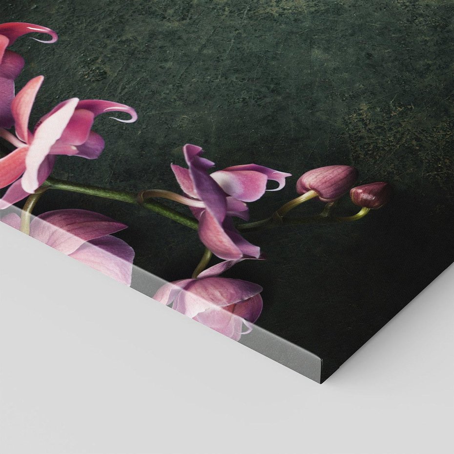 Obraz na płótnie 70x50 - Harmonia i relaks - orchidea, kwiat