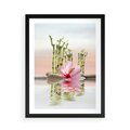 Plakat w ramie 50x70 - Harmonia i relaks - spa, bambus - rama czarna