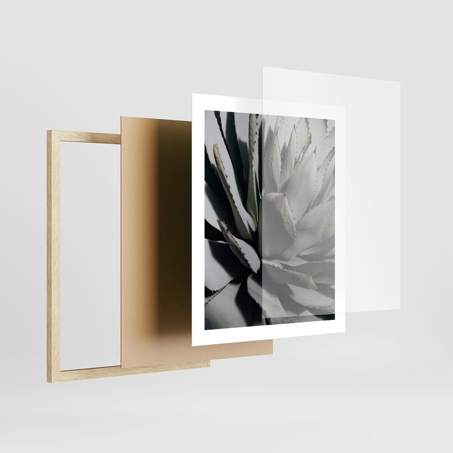 Plakat w ramie 40x50 - Sukulenty wśród kaktusów - sukulenty, kaktusy - rama drewno