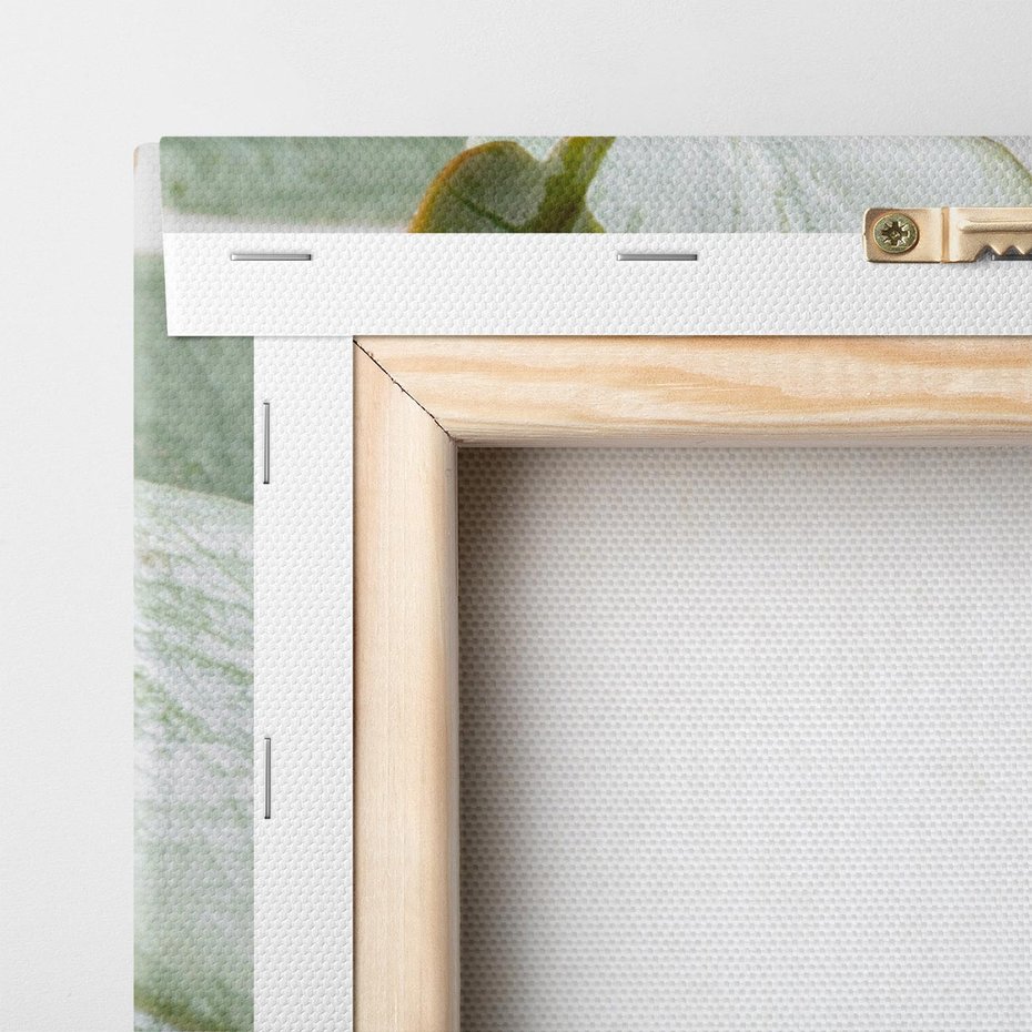 Obraz na płótnie 80x120 - Eukaliptusowa zieleń - eukaliptus, zielone