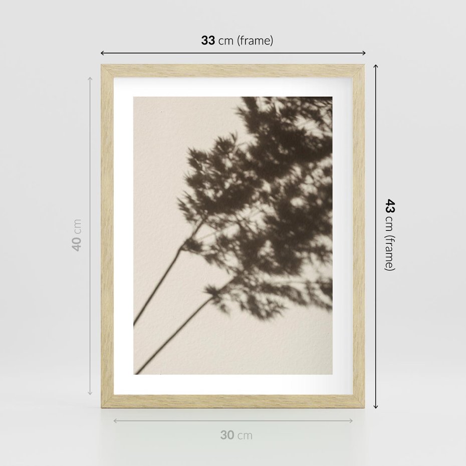 Plakat w ramie 30x40 - Tajemniczy Cień Traw - cień traw, na ścianie - rama drewno