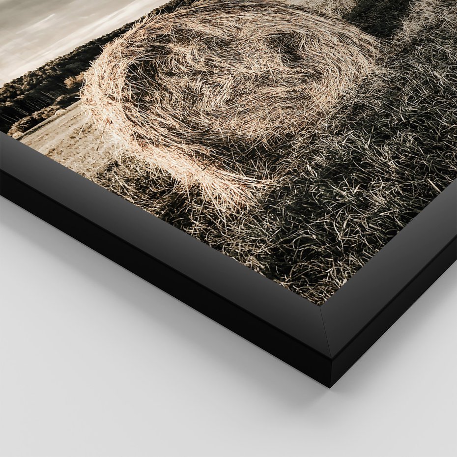 Zestaw obrazy w ramie 40x50 galeria - Bydło, USA, pole - rama czarna