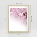 Plakat w ramie 40x50 - Kwitnąca Wiśnia - kwiaty, kwitnącej - rama drewno