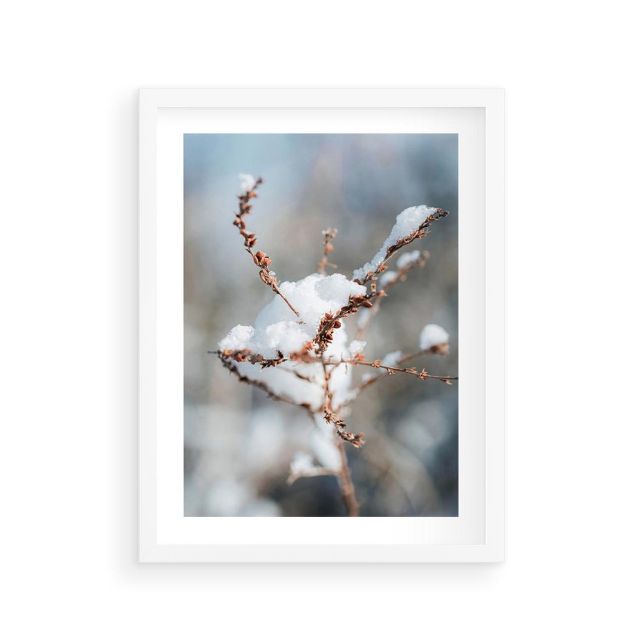 Plakat w ramie 30x40 - Zimowy Urok Natury - gałązki pod śniegiem, natura - rama biała