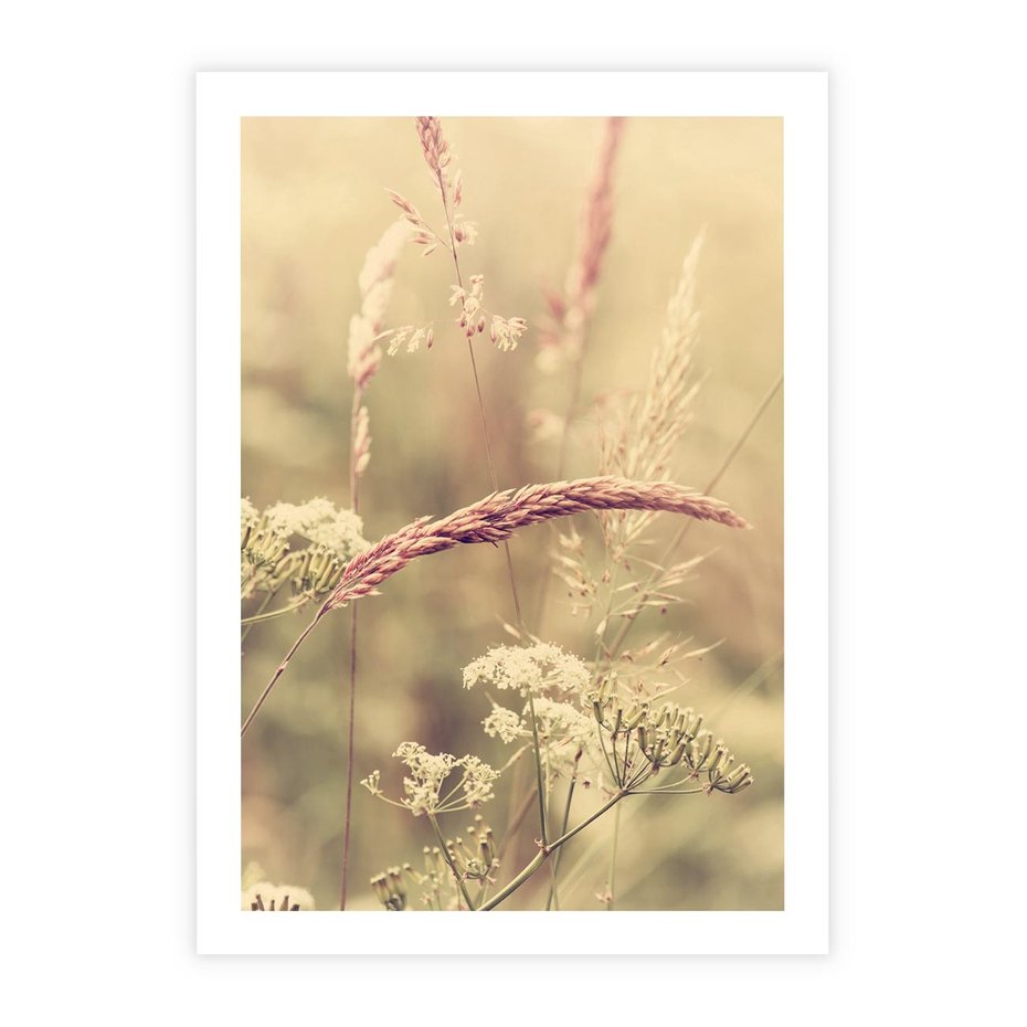 Plakat bez ramy 21x30 - Boho Wizja - suszone, trawy