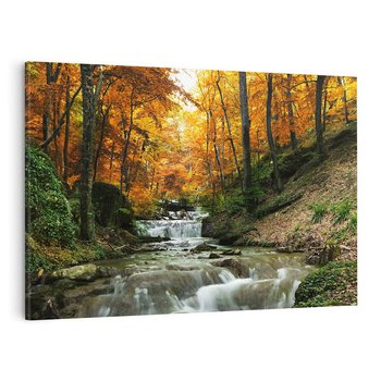 Obraz na płótnie 120x80 - Urok lasu: drzewa i strumyk w harmonii - las, drzewa