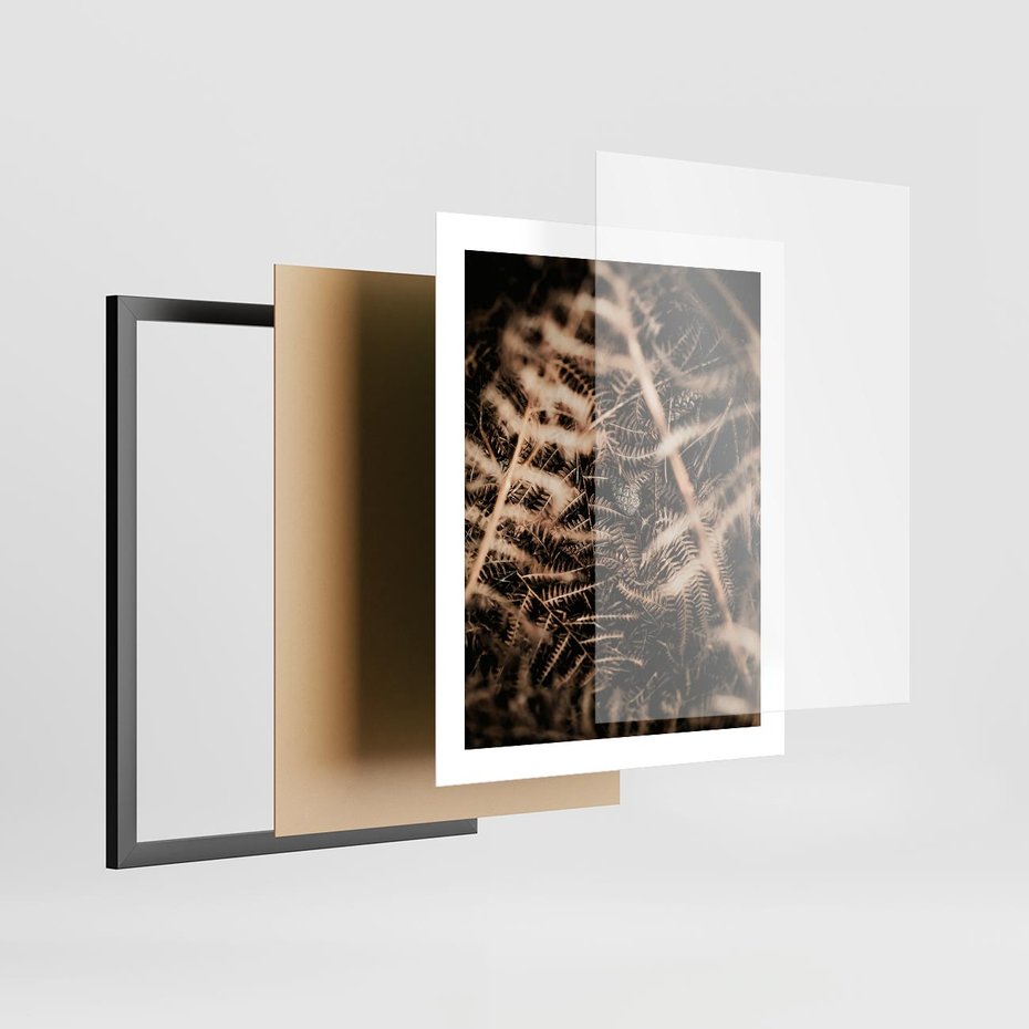 Plakat w ramie 40x50 - Liście i Paprocie - suche liście, paprocie - rama czarna