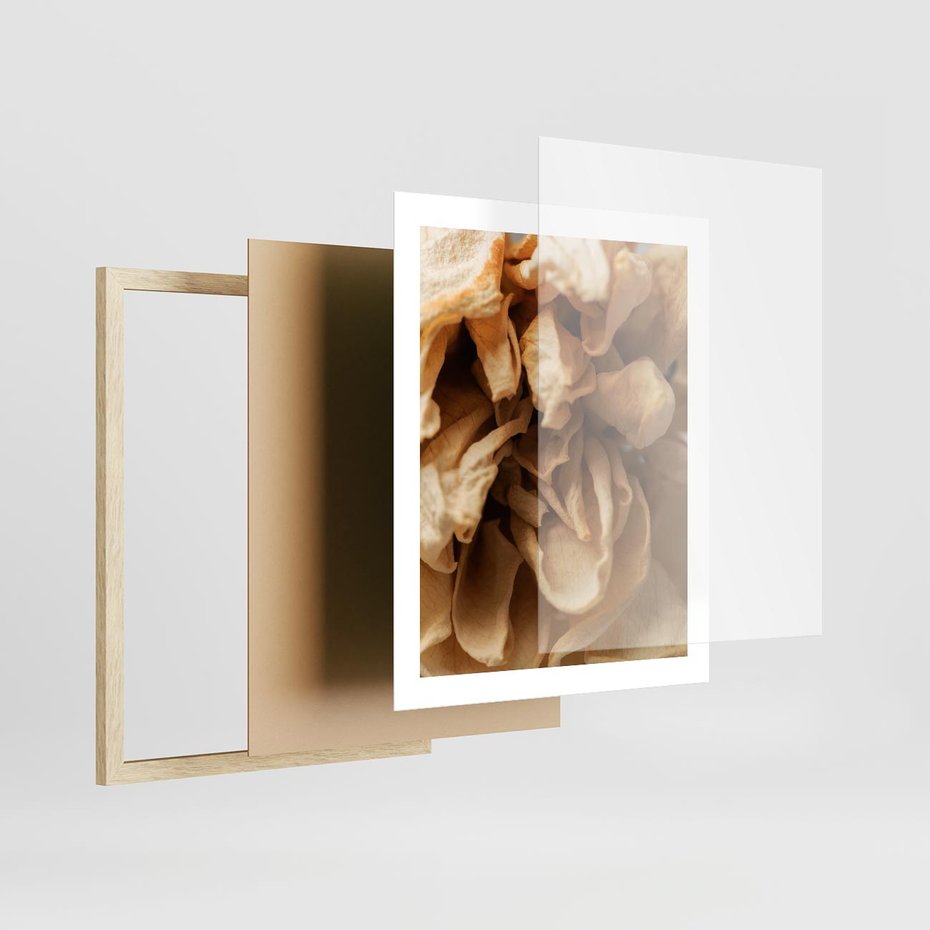 Plakat w ramie 40x50 - Zjawiskowe zasuszone kwiaty - zasuszone, kwiaty - rama drewno