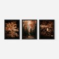 Zestaw obrazy w ramie 30x40 galeria - Bogo, jesienny, las, paprocie - rama czarna