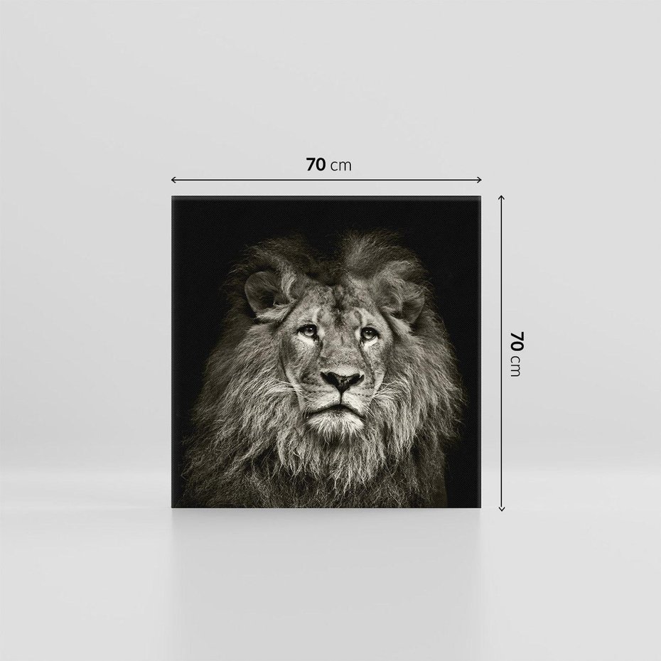 Obraz na płótnie 70x70 - Moc lewego spojrzenia - lew, czarno