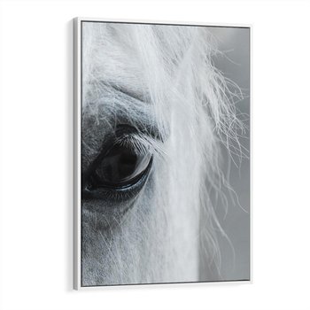Obraz w ramie 80x120 - Oko Mocy - czarno białe zdjęcie, zbliżenie makro na oko konia - rama biała