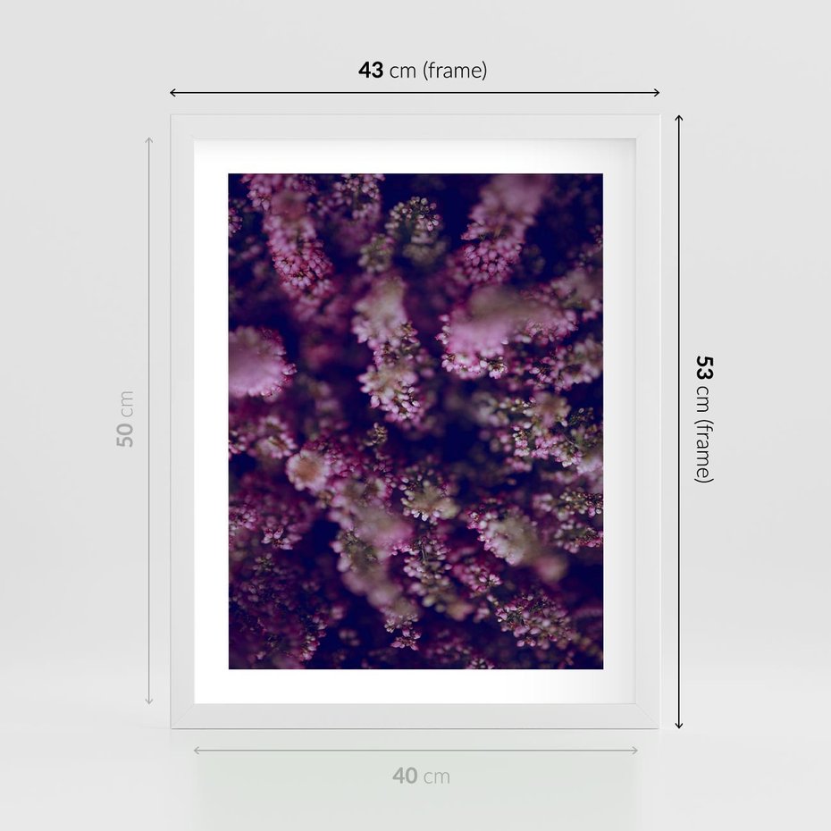 Plakat w ramie 40x50 - Wrzosowa Delikatność - wrzosy, kwiaty - rama biała