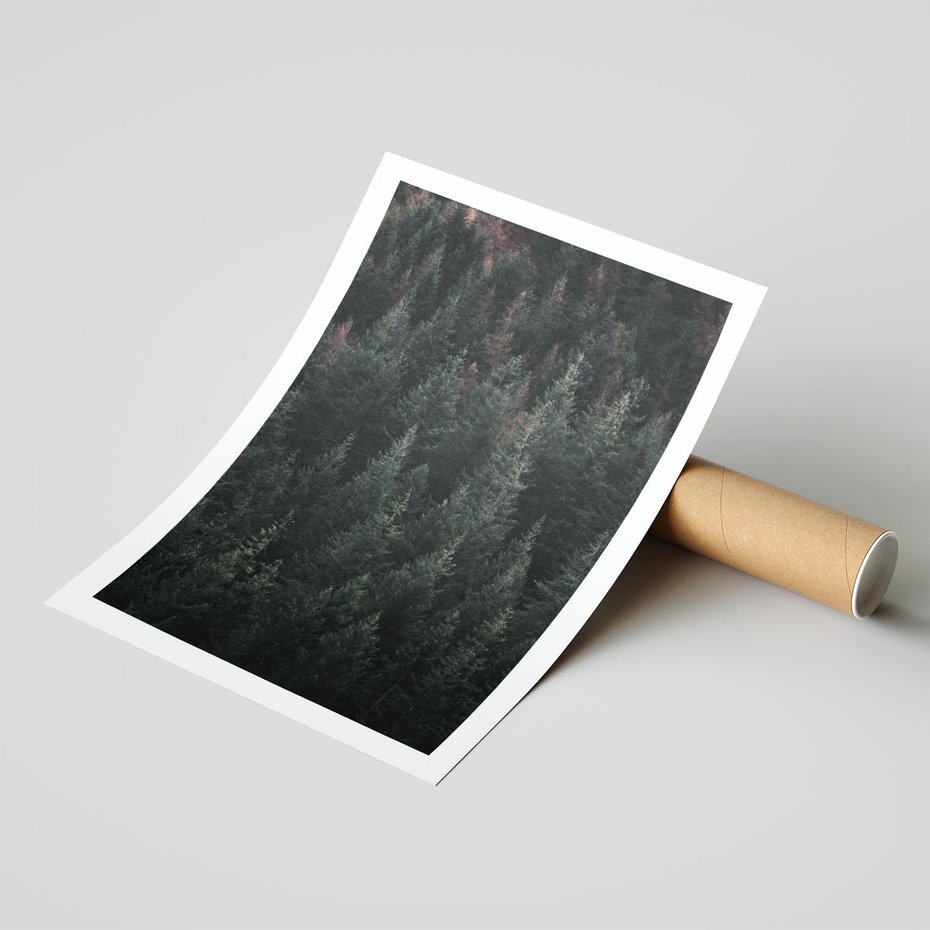 Plakat bez ramy 21x30 - Wysoko nad Iglastym Lasem - las, perspektywa