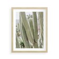 Plakat w ramie 40x50 - Duże Kaktusy w Pejzażu - kaktus, duże kaktusy na pustyni - rama drewno