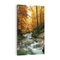 Obraz na płótnie 50x70 - Urok lasu: drzewa i strumyk w harmonii - las, drzewa