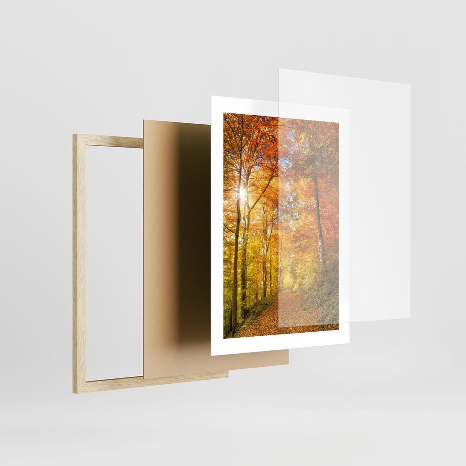 Plakat w ramie 30x40 - Złote barwy jesiennego lasu - las, jesień - rama drewno