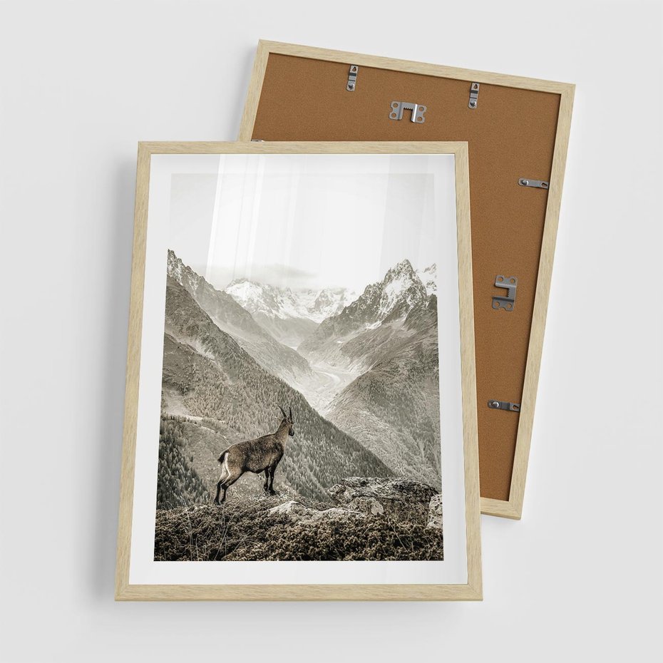 Plakat w ramie 50x70 - Dzikie Piękno: Kozica w Malowniczym Górskim Scenerii - kozica, góry - rama drewno