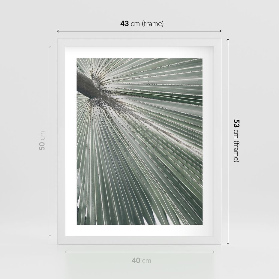 Plakat w ramie 40x50 - Jasnozielony Świat - palma, liść - rama biała