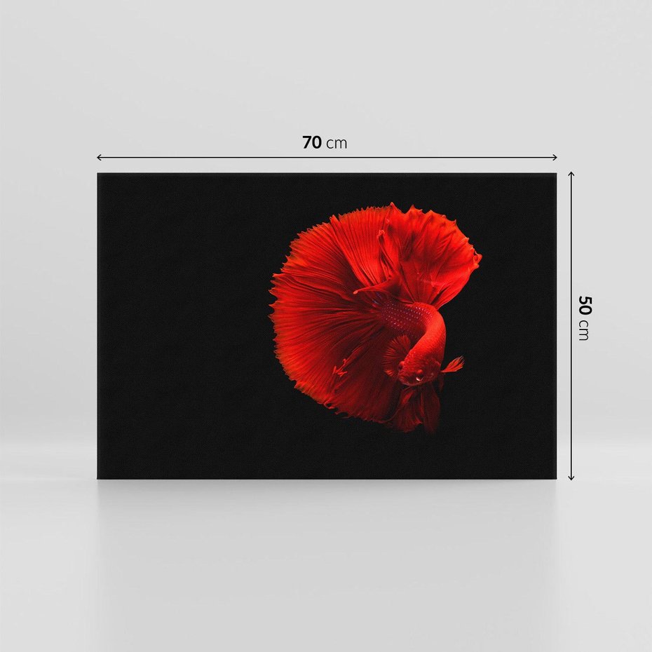 Obraz na płótnie 70x50 - Ryba wśród fal - ryba, morze