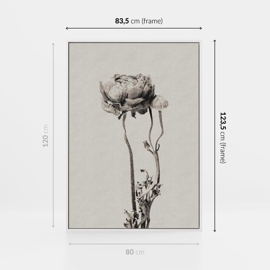 Obraz w ramie 80x120 - Kwiatowa Symfonia w Szarościach - czarno biała odbitka, jak fotografia - rama biała