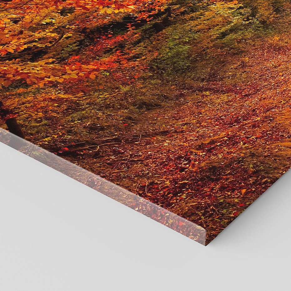 Obraz na płótnie 120x60 - Jesienny urok magia lasu - las, jesień