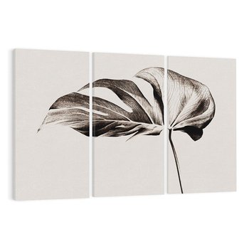 Obraz na płótnie 120x80 - Szapczący Liść - szkic, czarno biały