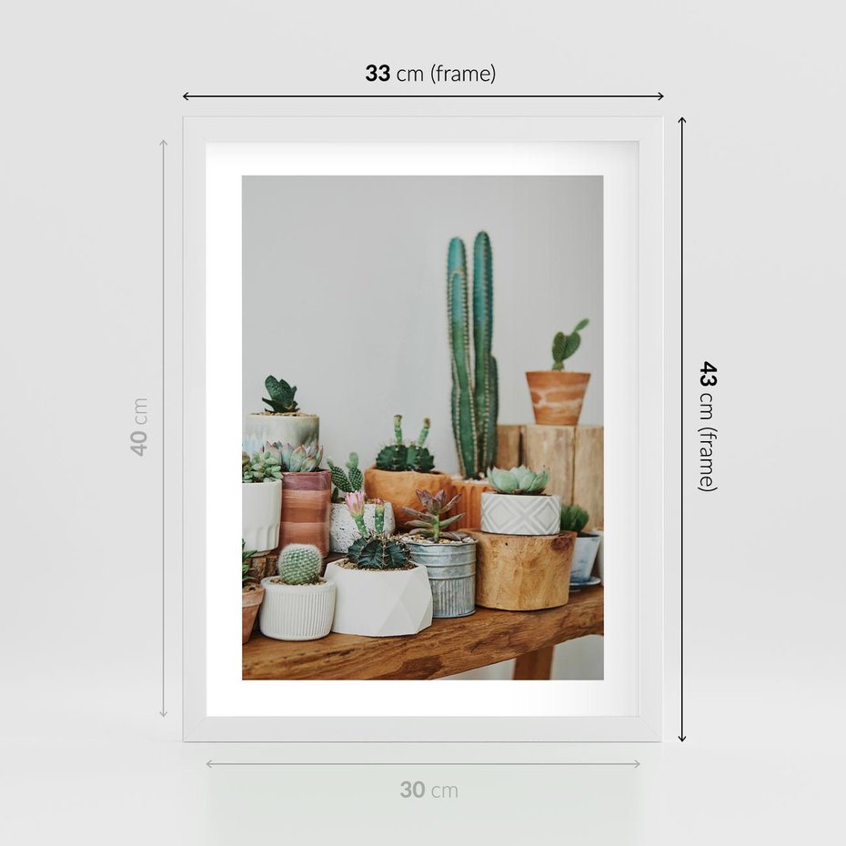 Plakat w ramie 30x40 - Kaktusowa Galeria w Doniczkach - kaktusy w doniczkach, fotografia - rama biała