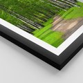 Plakat w ramie 40x50 - Spacer Ścieżką w Urokliwym Lesie - las, ścieżka - rama czarna