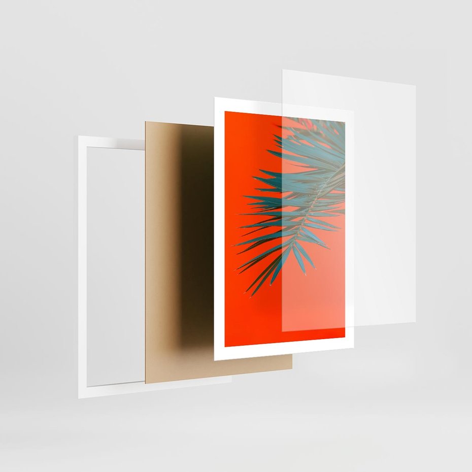 Plakat w ramie 50x70 - Egzotyczny Urok - liście, palma - rama biała