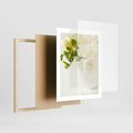Plakat w ramie 40x50 - Subtelność białych frezji - frezja, białe - rama drewno