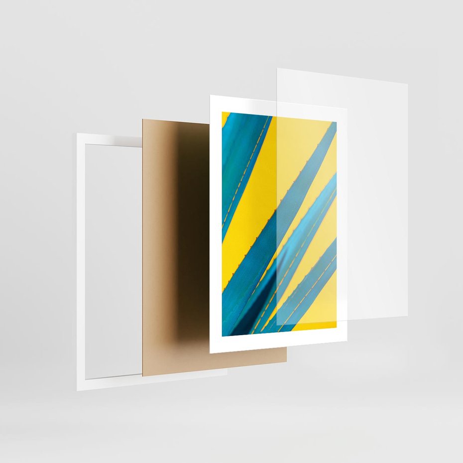 Plakat w ramie 30x40 - Świeżość Natury - aloes, liście - rama biała