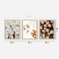 Zestaw obrazy w ramie 50x70 galeria - Kwiaty, moda, nowoczesny - rama drewno