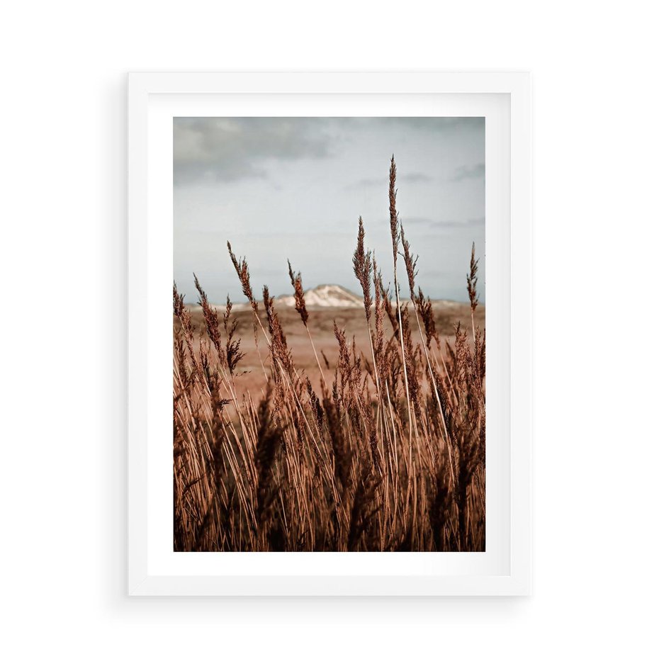 Plakat w ramie 50x70 - Wysokie Trawy w Górskim Krajobrazie - suche trawy, wysokie trawy - rama biała