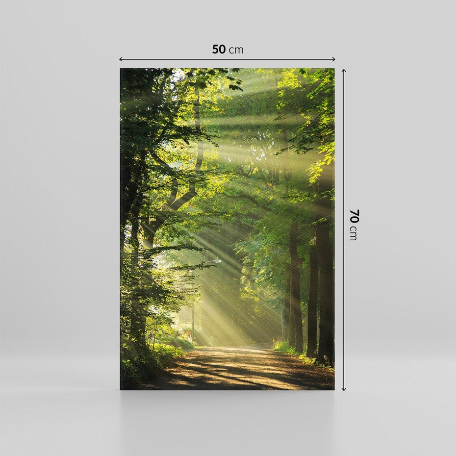 Obraz na płótnie 50x70 - harmonia natury - las, drzewa